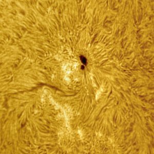 sonne_halpha_300