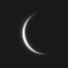 Venus Venus
