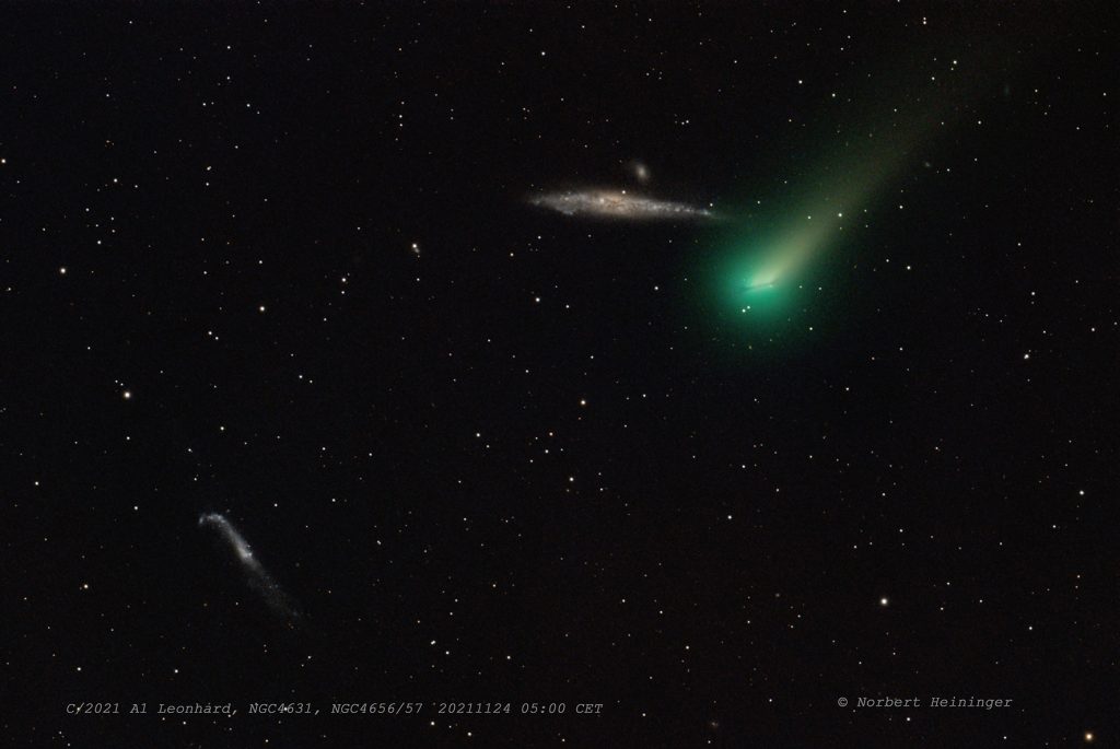 Komet Leonard bei der Walgalaxie NGC 4631, Foto Norbert Heininger